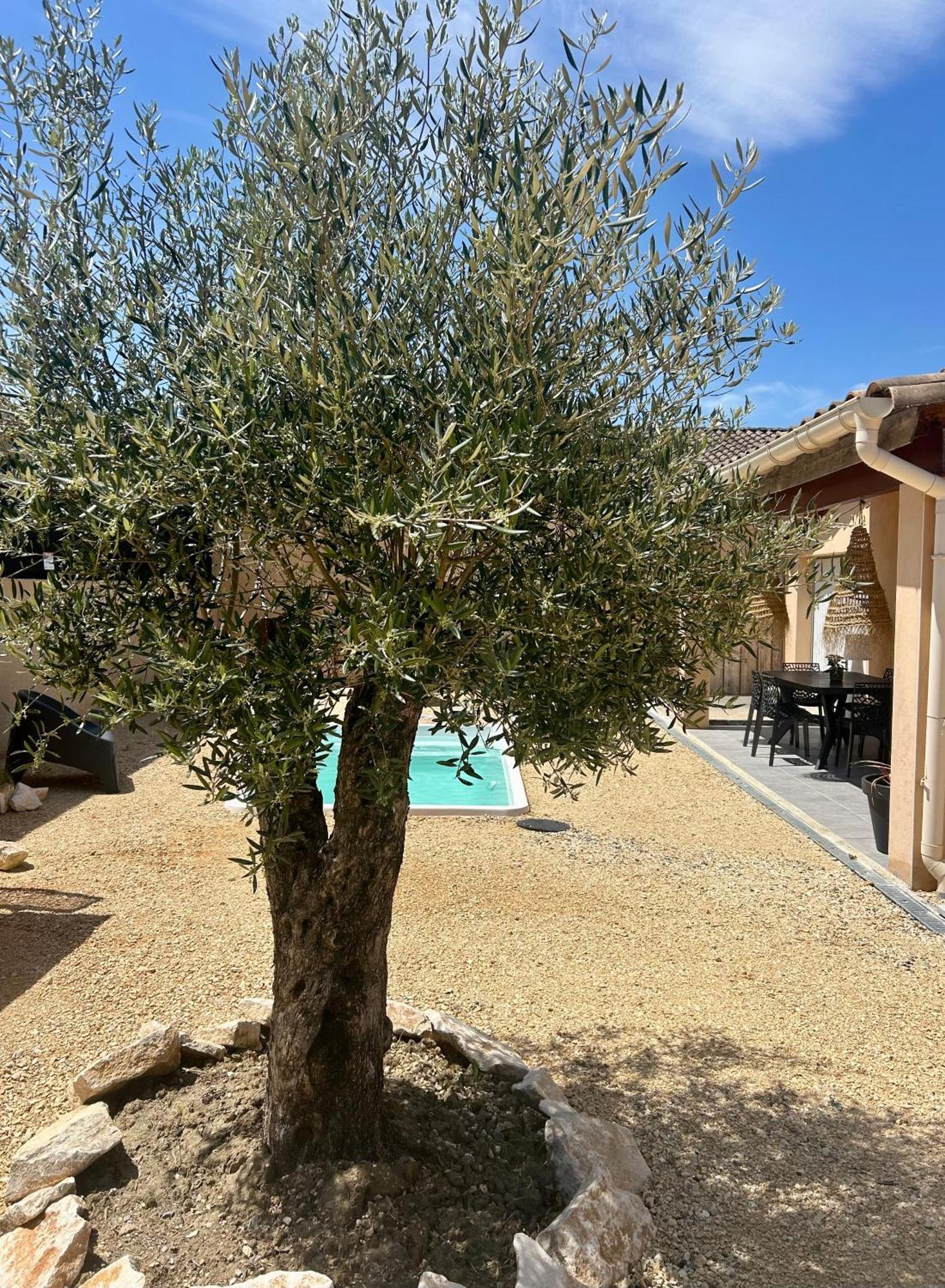 Maison Piscine & Spa Vallon Pont D'Arc Eksteriør billede